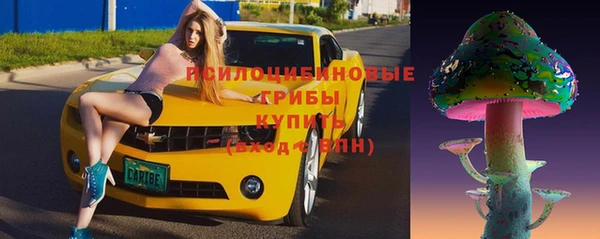 дурь Богданович