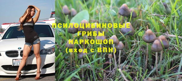 гашиш Богородск