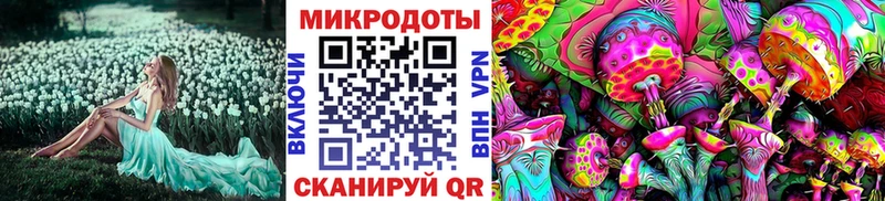 Купить где  Арамиль  Псилоцибиновые грибы мицелий 